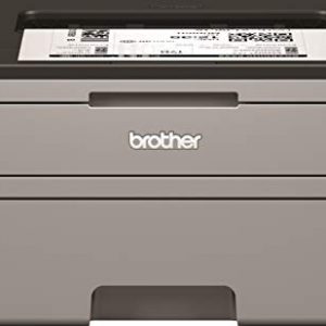 Brother Laserdrucker HL-L2310D