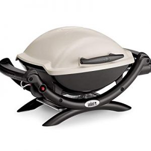 Weber Gasgrill Q 1000